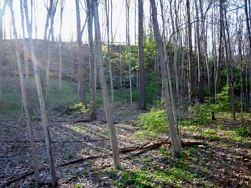 4650 Chatham Court, Dublin, OH 43017 Photo 5