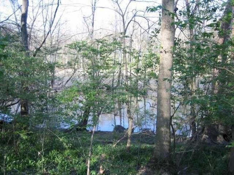 4650 Chatham Court, Dublin, OH 43017 Photo 6