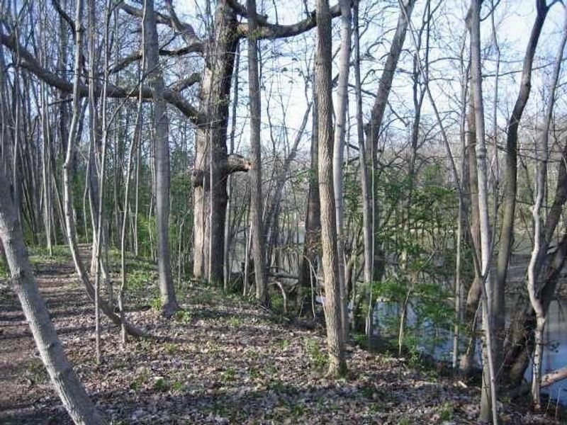 4650 Chatham Court, Dublin, OH 43017 Photo 8