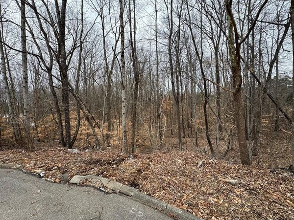 Lot 14 Stonewall Dr, Cookeville, TN 38506