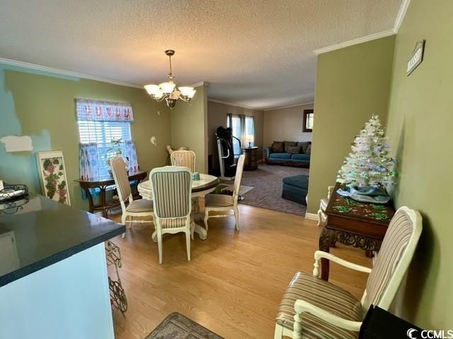 240 Amber Ln. Photo 10