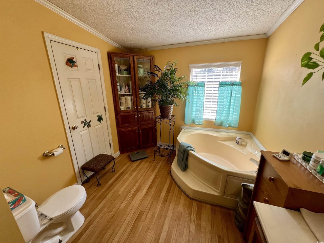 240 Amber Ln. Photo 17