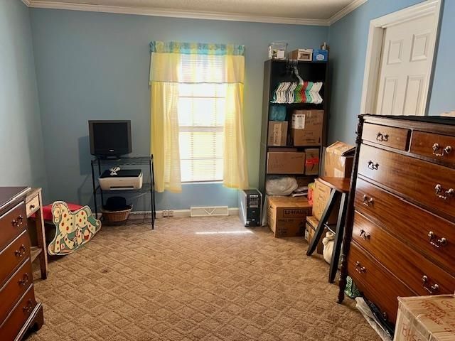 240 Amber Ln. Photo 18