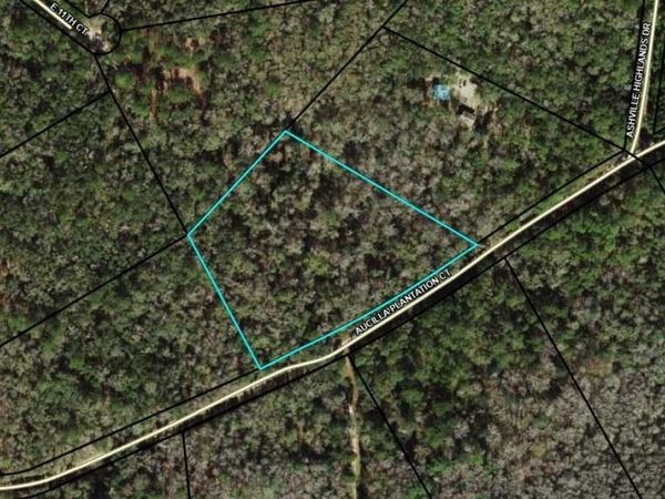 TBD Aucilla Plantation Court, Greenville, FL 32331