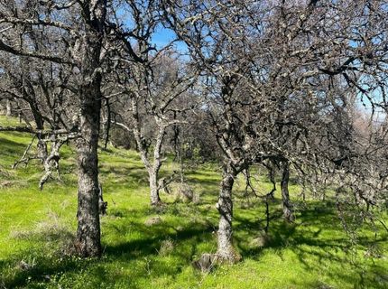 Stern Ln, Browns Valley, CA 95918 Photo