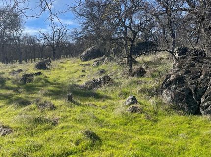 Stern Ln, Browns Valley, CA 95918 Photo