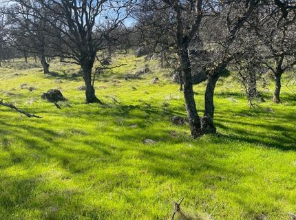 Stern Ln, Browns Valley, CA 95918 Photo