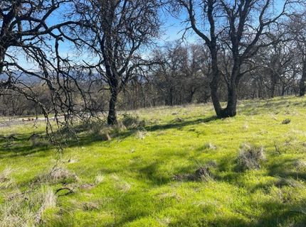Stern Ln, Browns Valley, CA 95918 Photo