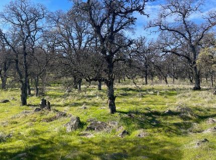 Stern Ln, Browns Valley, CA 95918 Photo