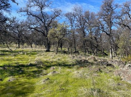 Stern Ln, Browns Valley, CA 95918 Photo