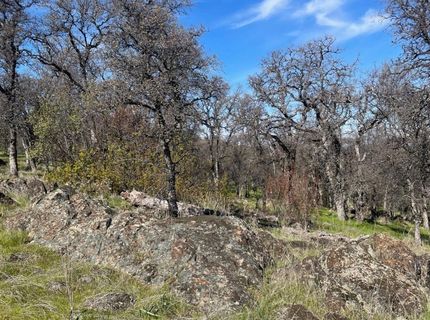 Stern Ln, Browns Valley, CA 95918 Photo