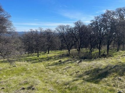 Stern Ln, Browns Valley, CA 95918 Photo