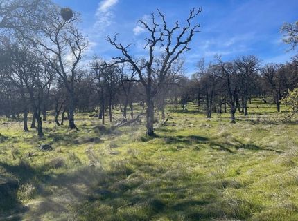 Stern Ln, Browns Valley, CA 95918 Photo
