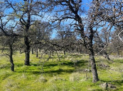 Stern Ln, Browns Valley, CA 95918 Photo