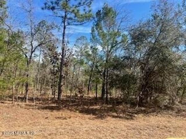 1891 OPENWOODS Road, Middleburg, FL 32068