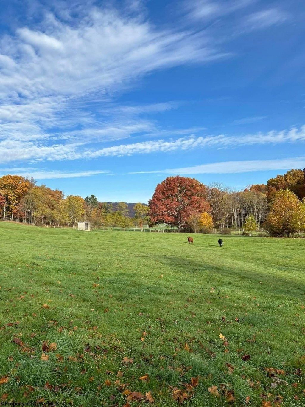 65 Friel Hill Road, Huttonsville, WV 26273 Main Photo