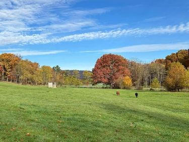 65 Friel Hill Road, Huttonsville, WV 26273