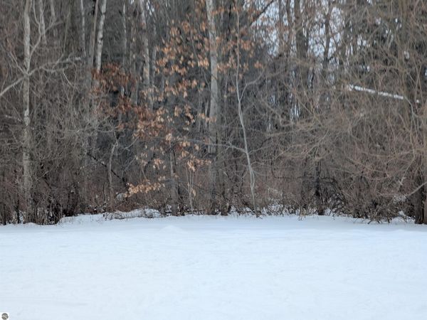 Court Street, Au Gres, MI 48703