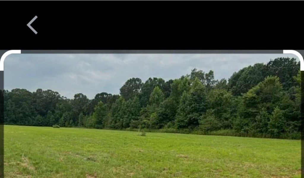 0 Joe Sanderlin Rd E, Stanton, TN 38012 Main Photo