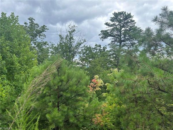 tbd Lobelia Lane, Boone, NC 28607