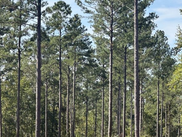 0 Seven Islands Road, Madison, GA 30650