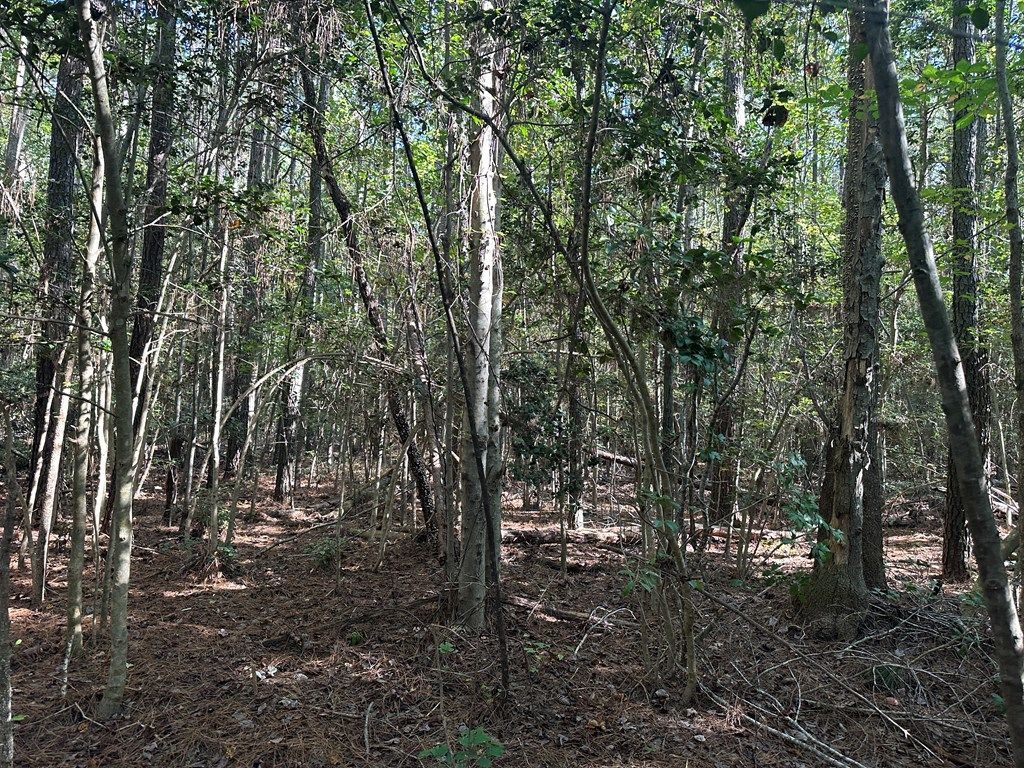 0 Browns Store Road, Wicomico Church, VA 22579 Main Photo