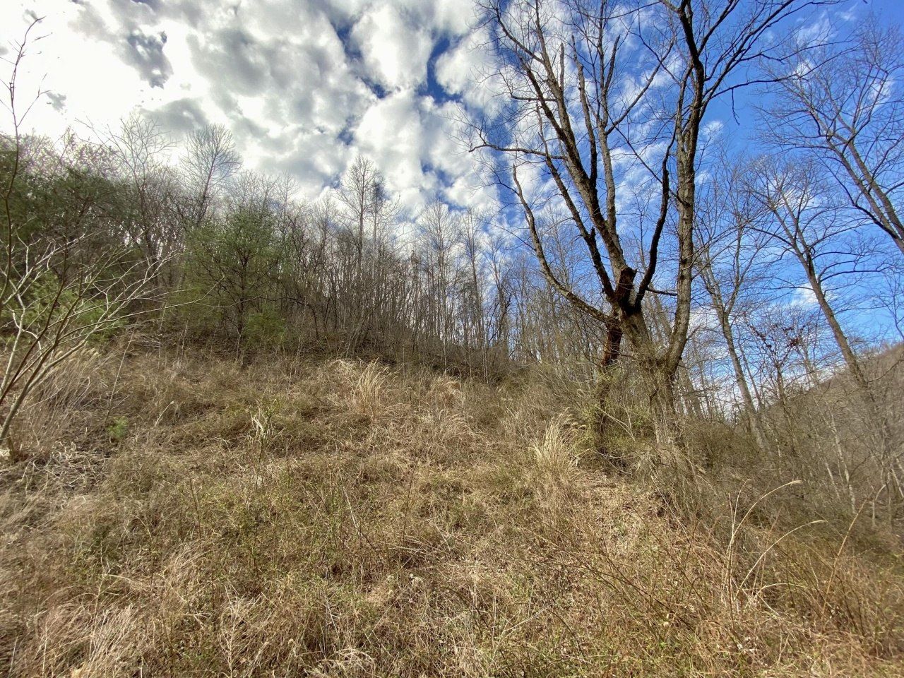 1344 Potato Branch Road, Topmost, KY 41862