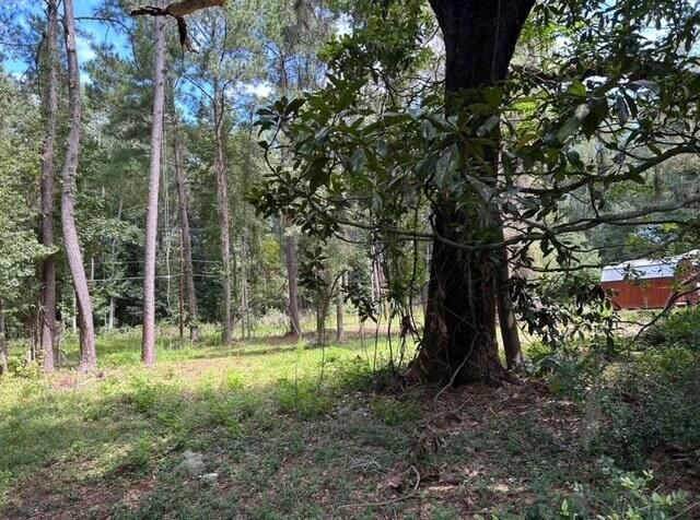 6224 Martin Street Photo 1