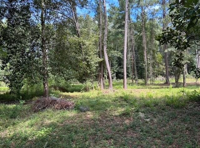 6224 Martin Street Photo 2