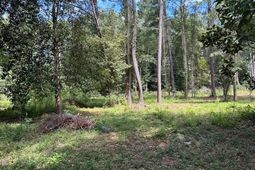 6224 Martin Street photo 4