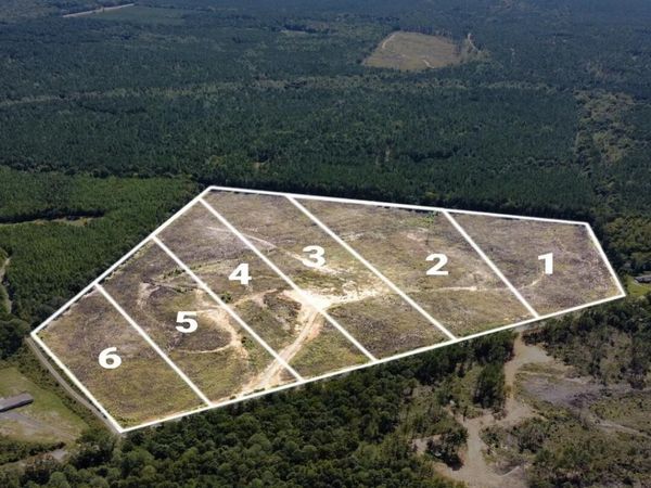 Lot 4 State Hwy 790, Ackerman, MS 39735