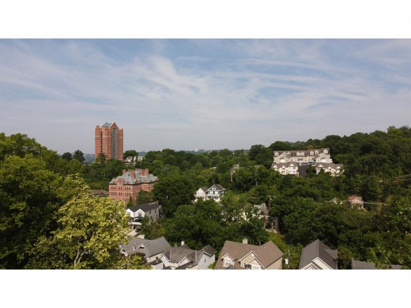 459 Flinn Avenue, Cincinnati, OH 45226 Photo 9