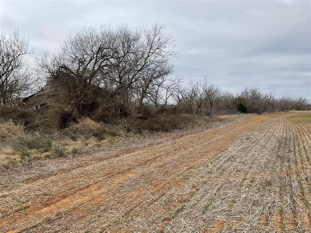 Tba Fm 2405, Ovalo, TX 79541 Main Photo