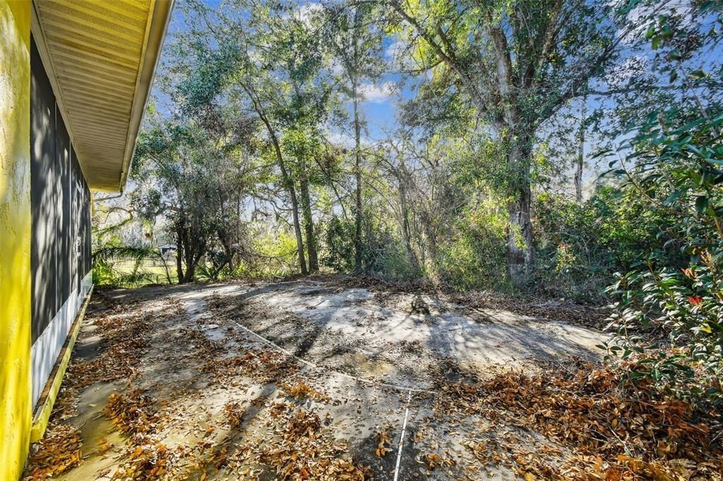 10129 Little Road, New Port Richey, FL 34654 Photo