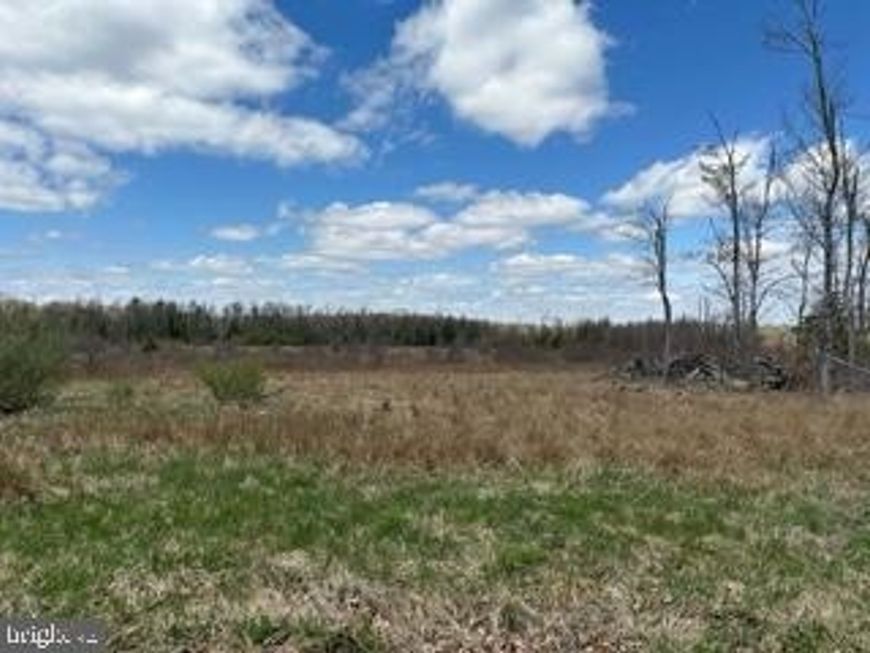 Cherry Ridge Road, Mount Storm, WV 26739 Main Photo