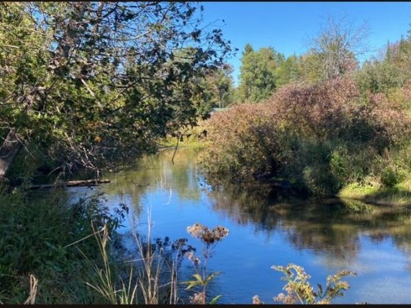 Lots 5&6 E AIRPORT, Atlanta, MI 49709