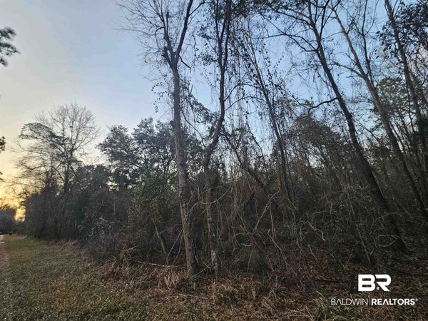 0 Lee Road, Robertsdale, AL 36567