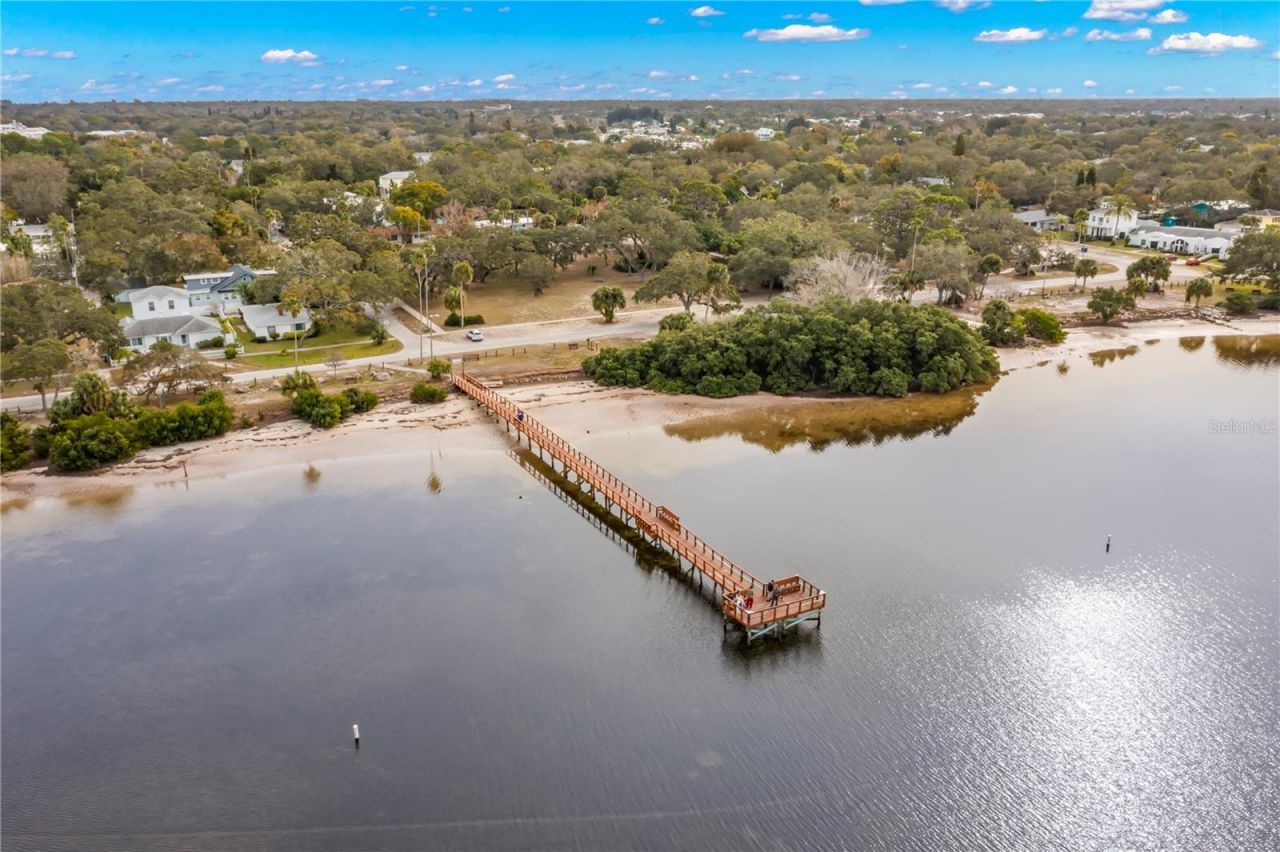 606 Indiana Avenue, Crystal Beach, FL 34681 Photo