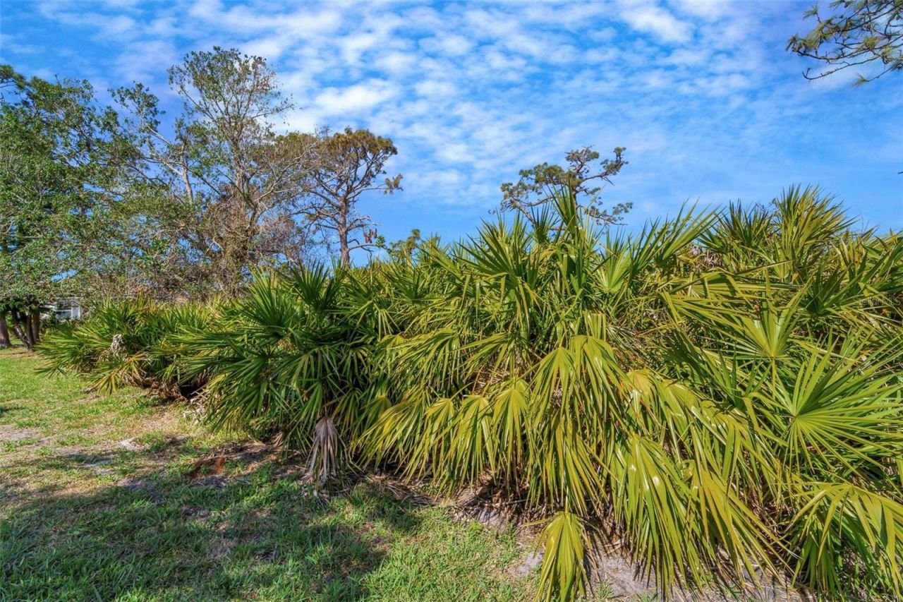 4811 Summertree Road, Venice, FL 34293 Photo