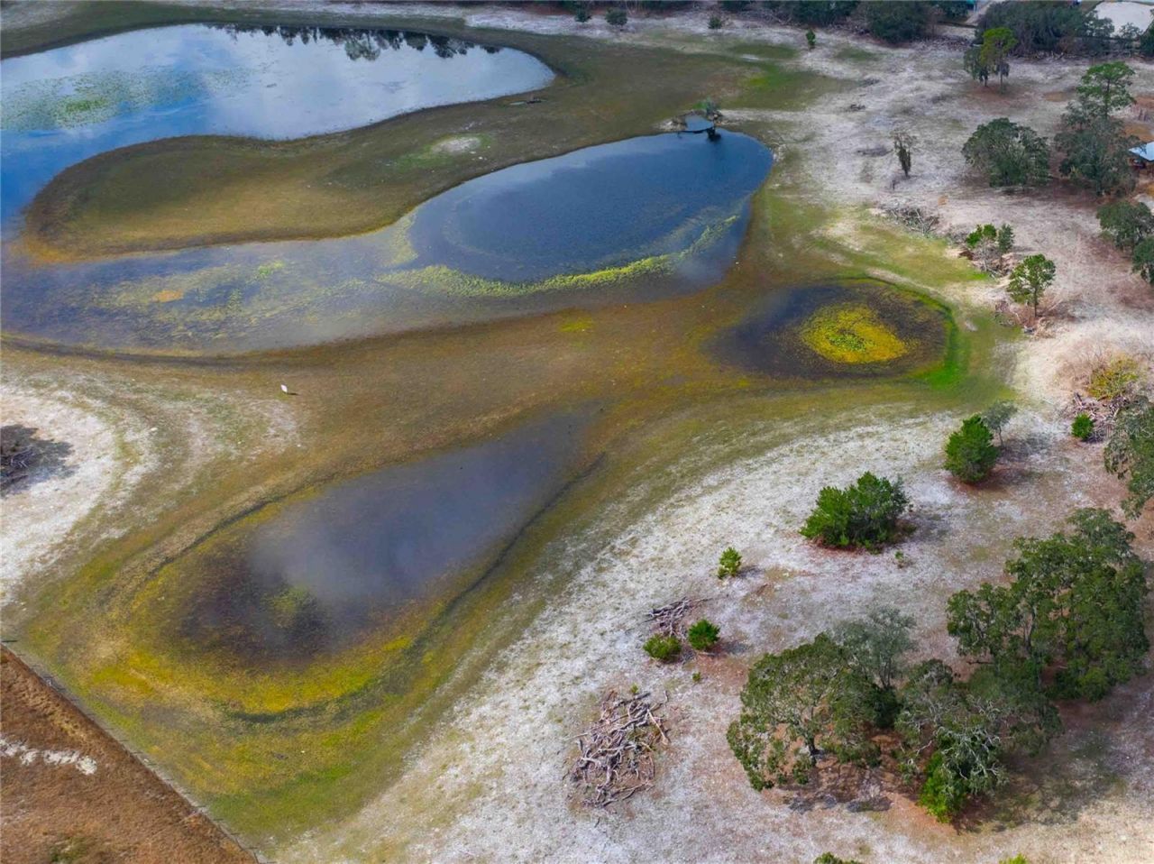 10300 Cortez Boulevard, Brooksville, FL 34613 Photo