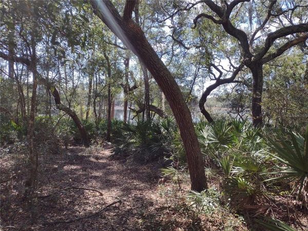 89 TUCKER LAKE ROAD, MELROSE, FL 32666
