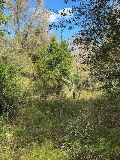 W Beresford Road, Deland, FL 32720 Photo