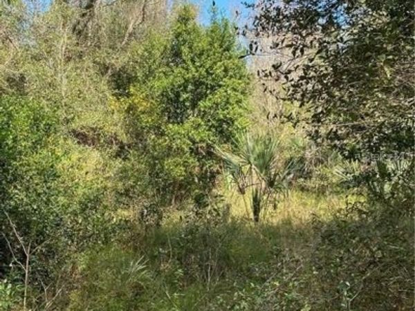 W BERESFORD ROAD, DELAND, FL 32720