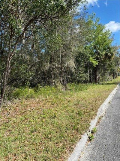 W Beresford Road, Deland, FL 32720 Photo