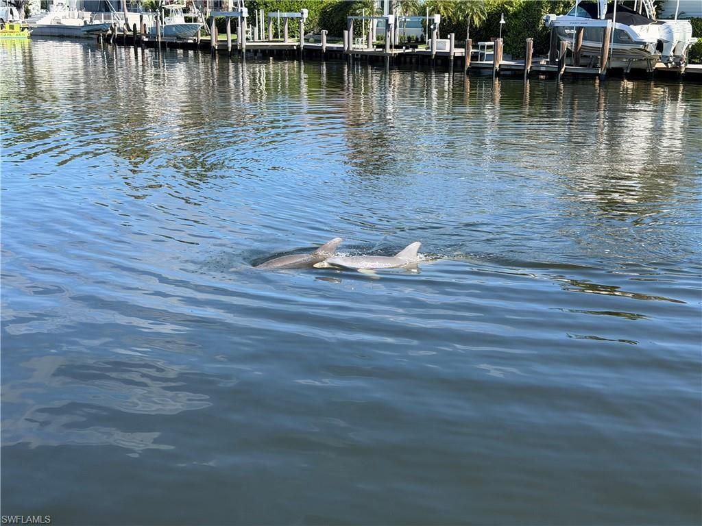 1935 5th St S, Naples, FL 34102 Photo