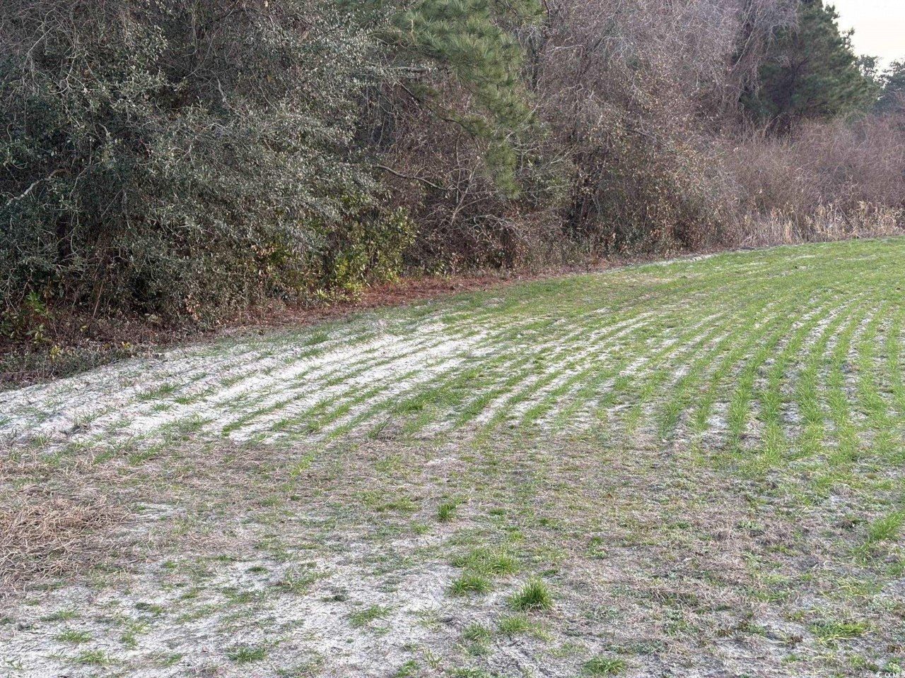 300 Clio Rd. Photo 10