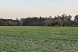 300 Clio Rd. photo 4