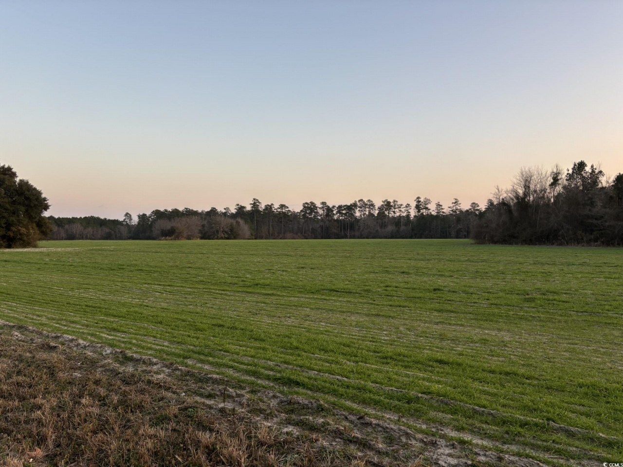 300 Clio Rd. Photo 4