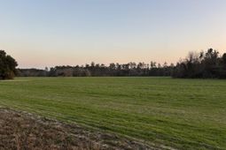 300 Clio Rd. photo 4