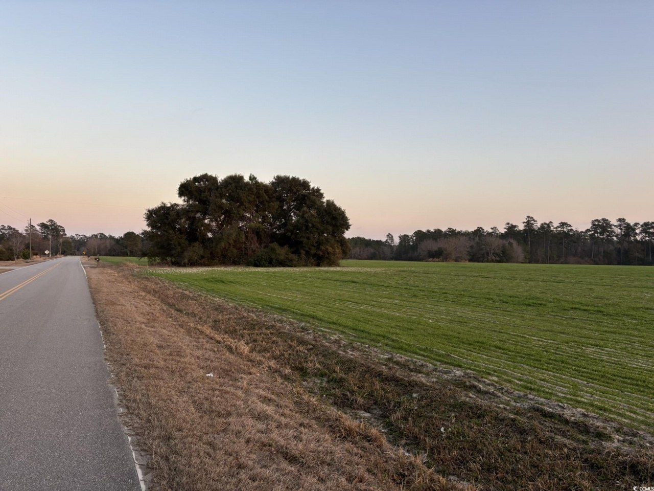 300 Clio Rd. Photo 5